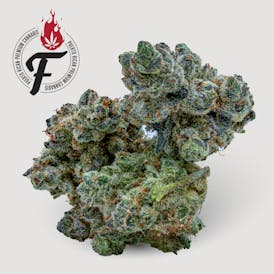 Wedding Crasher - Hybrid - Fuego