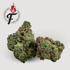 Vanilla Frosting - Indica - Fuego