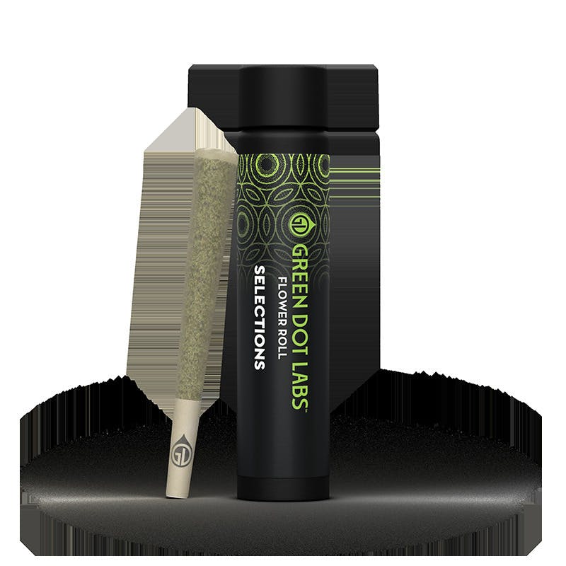 Motorboat Preroll