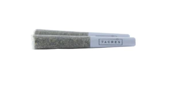 7 Acres : Jack Haze Pre Roll - 2 x 0.5g