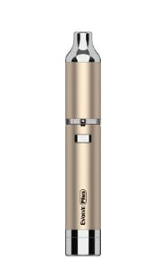 YOCAN : Evolve Plus Champagne Gold