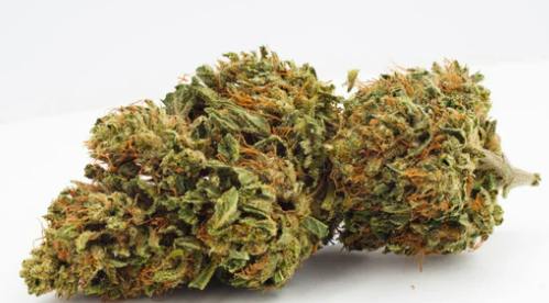 Grown Here Farms : Certified Organic CBD Flower - 7g