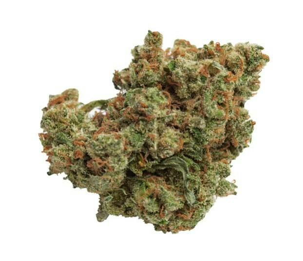 Qwest : Lazer Jet - 7g