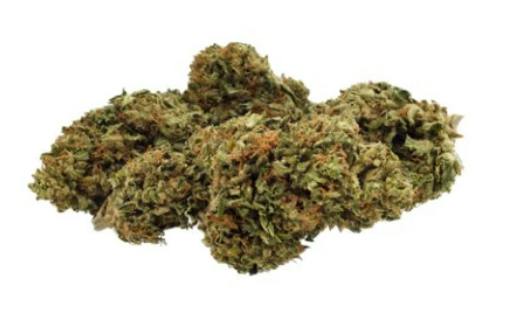 Grown Here Farms : Day Dreamin' CBD Flower (Umpqua) - 7g