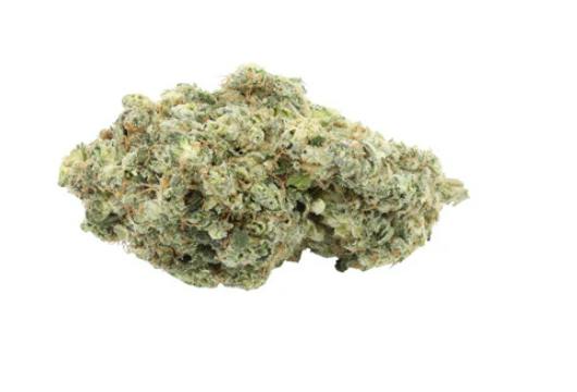 SITKA LEGENDS : Ruby Haze - 7G