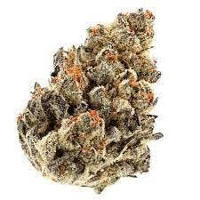 OAK CANNA | GB TRIX X SHERB | HOUSE PRE-PACK | 28G MYLAR BAG
