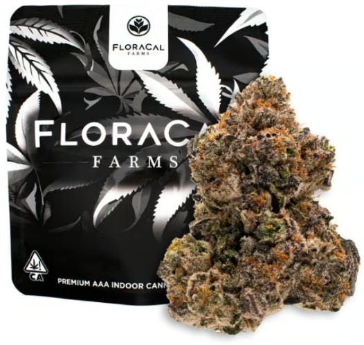 FloraCal™: White Lobster