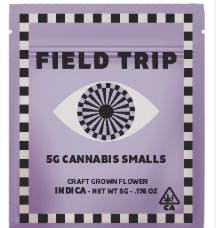Field Trip: Super Jealous