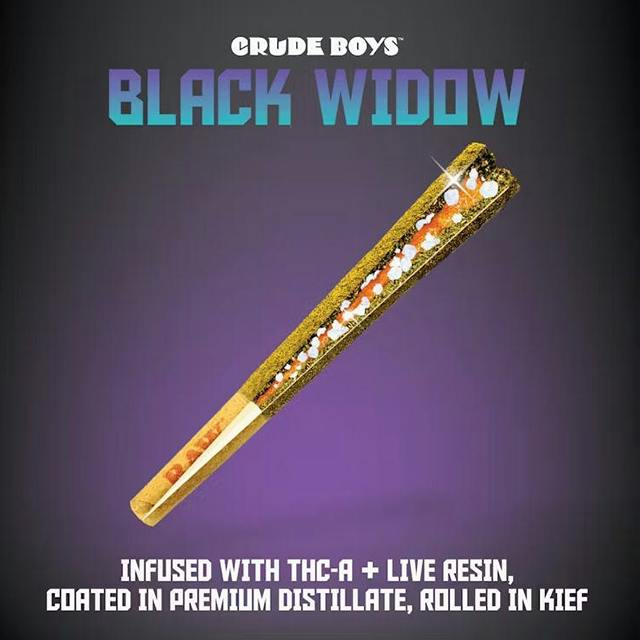 Rainbow Delight Black Widow