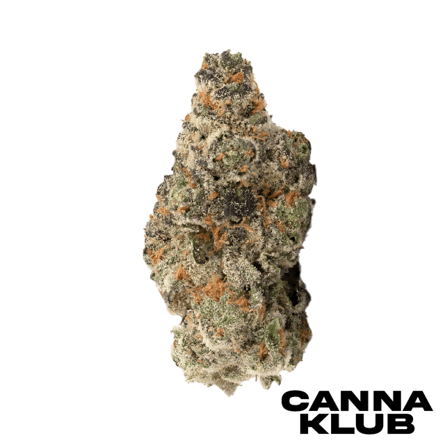 LARRY BIRD 14G *2 FOR 130*