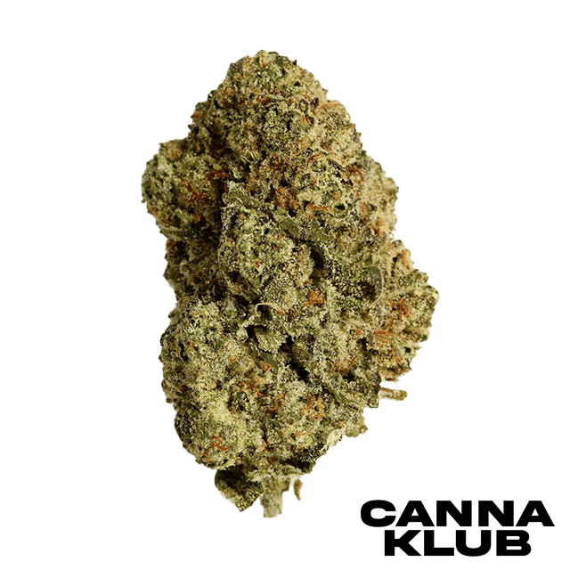 OUZO 3.5G