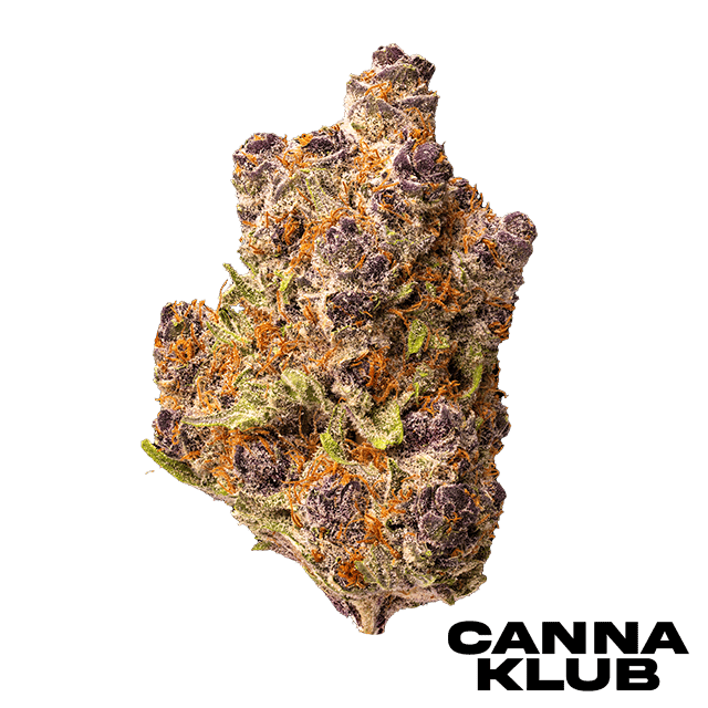 Purple Haze Living Soil Organic
