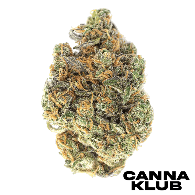 Cherry Pop Tart Living Soil Organic 2 For 40