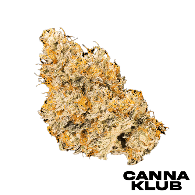 MOTOWN FUEL 3.5G LIVING SOIL ORGANIC *SPECIAL* at Canna Klub Rose City, Recreational Marijuana Dispensary