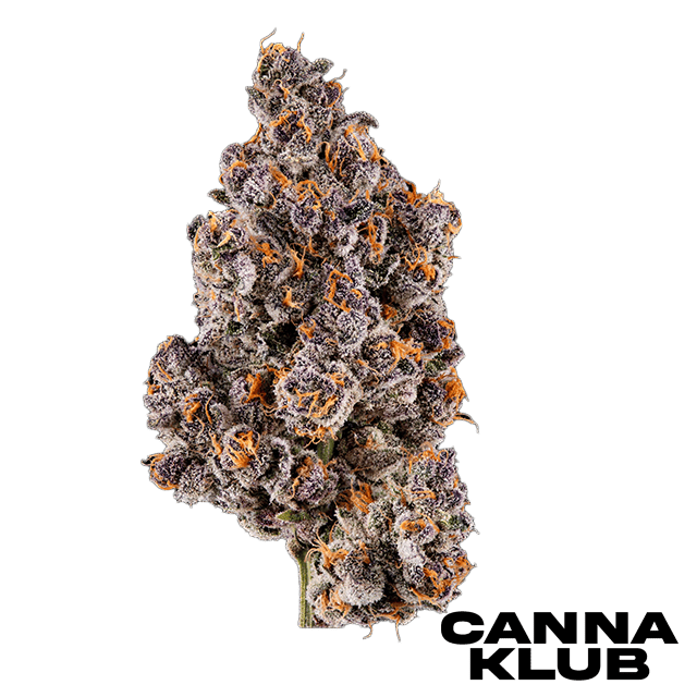 Florida Punch Growers Select