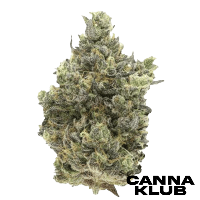 SOUR TAFFY #34 14G
