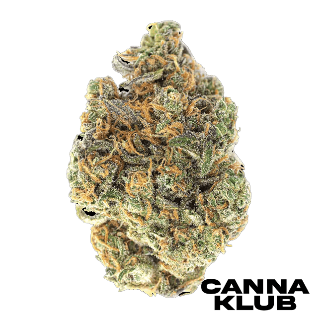 Orange Candy 2 For 120