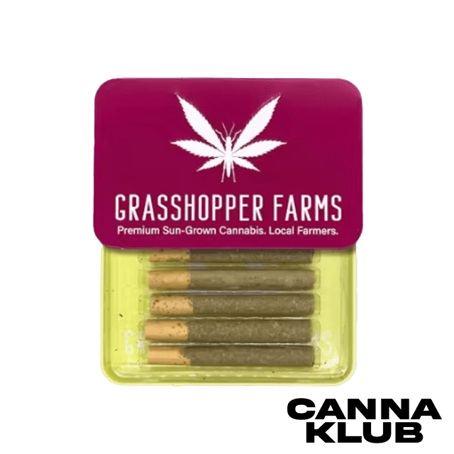 5PK ICE CREAM CAKE 1G LIVE RESIN INFUSED PRE ROLLS
