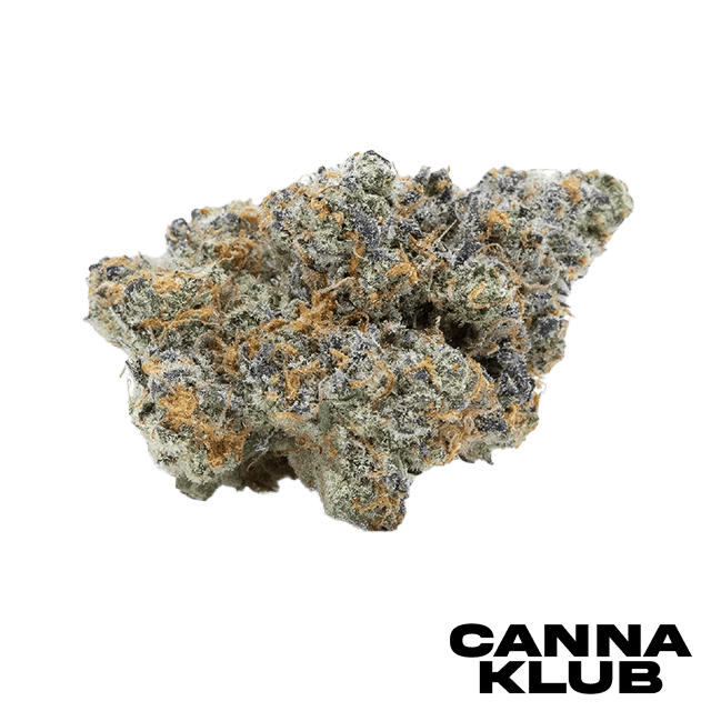 ZOOKIES 14G SUNKISSED