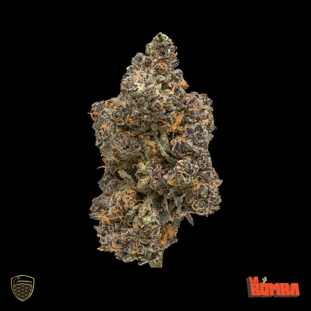Grow La Bomba Buds