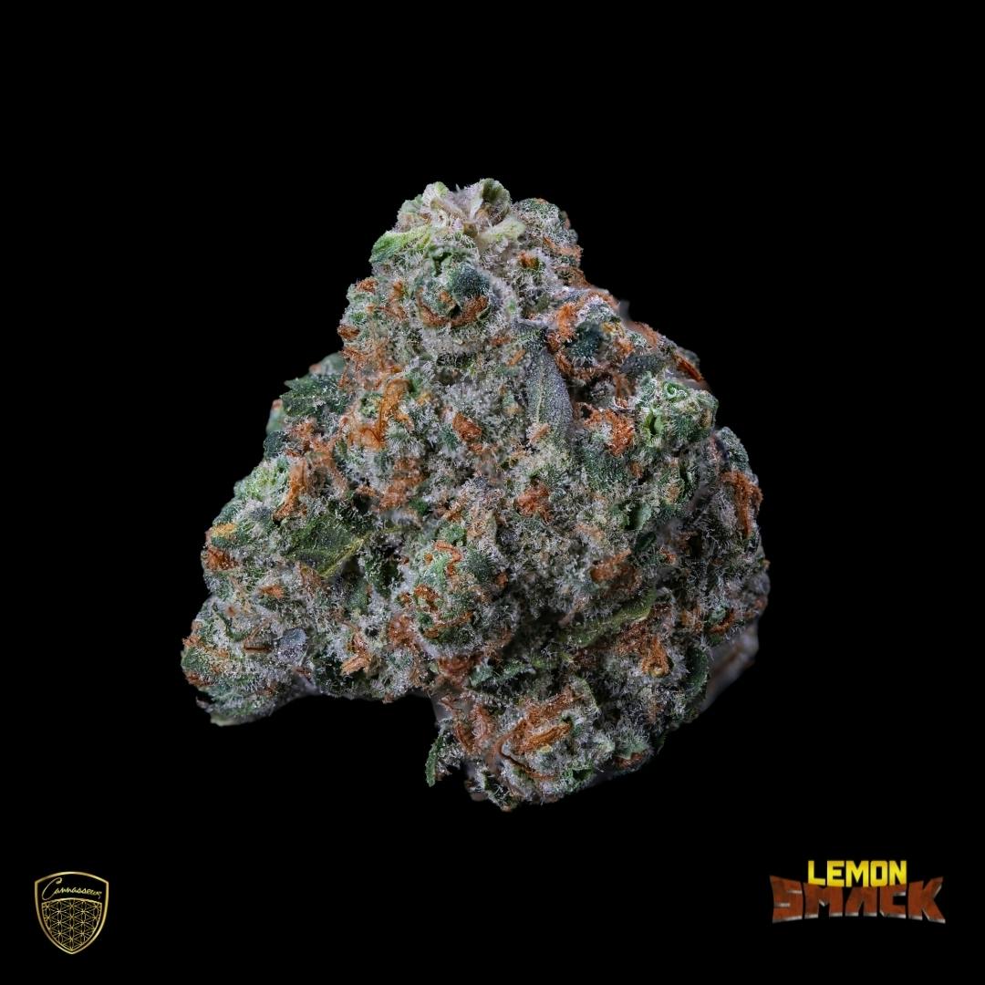 Grow - Lemon Smack Small Buds