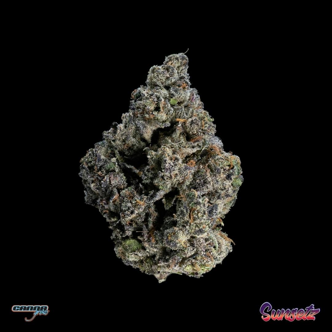 Grow Sunsetz Buds