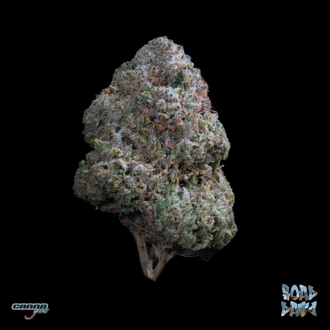 Grow Road Dawg Small Buds