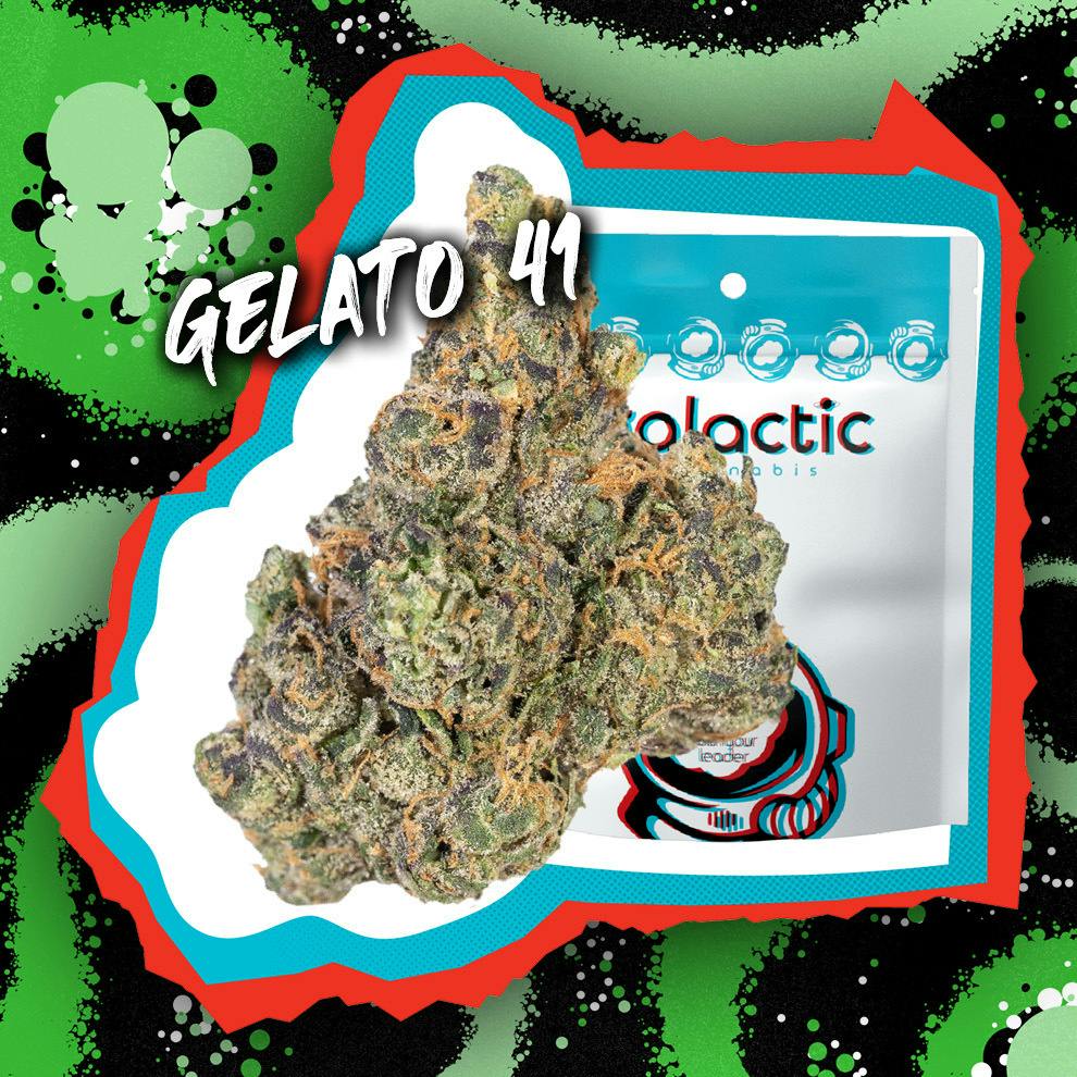 Gelato 41 | Pre-pack at High Profile of St Robert Dispensary