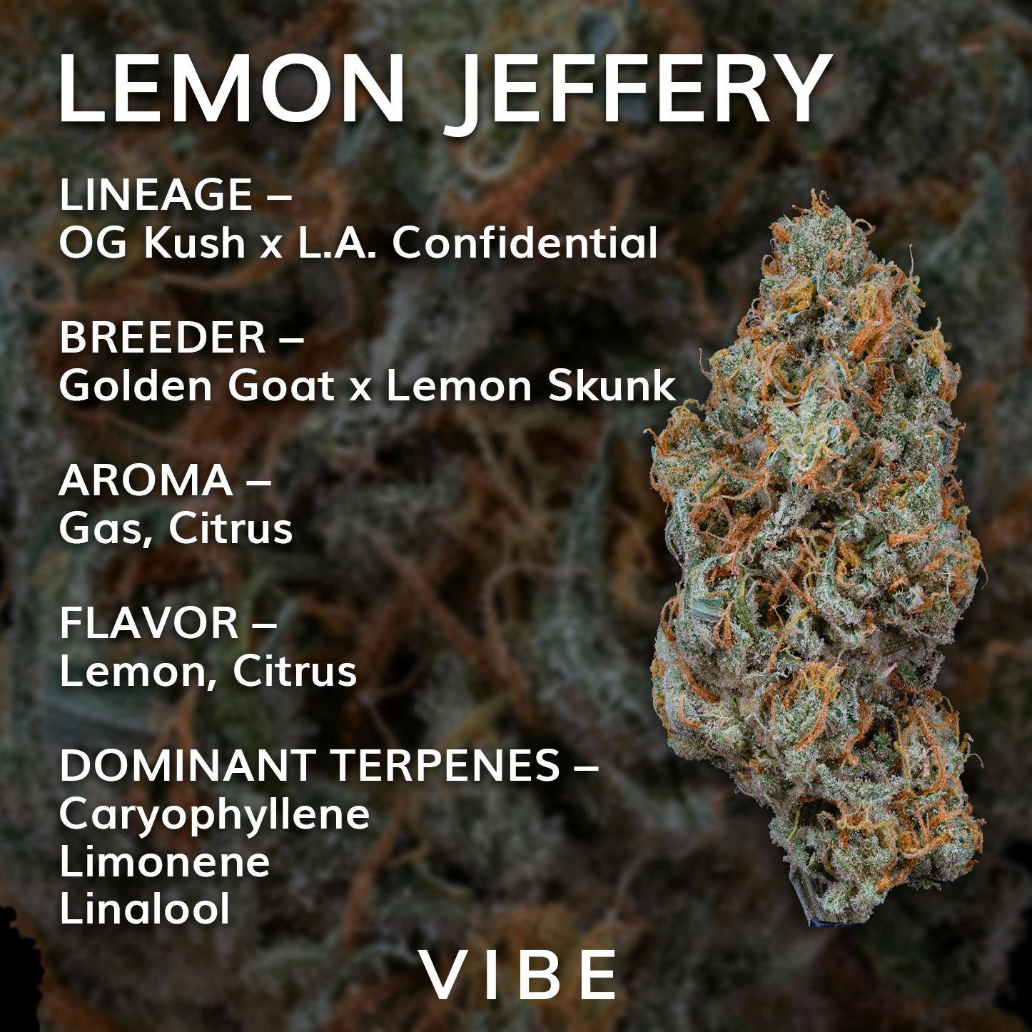 Lemon Jeffery | Deli