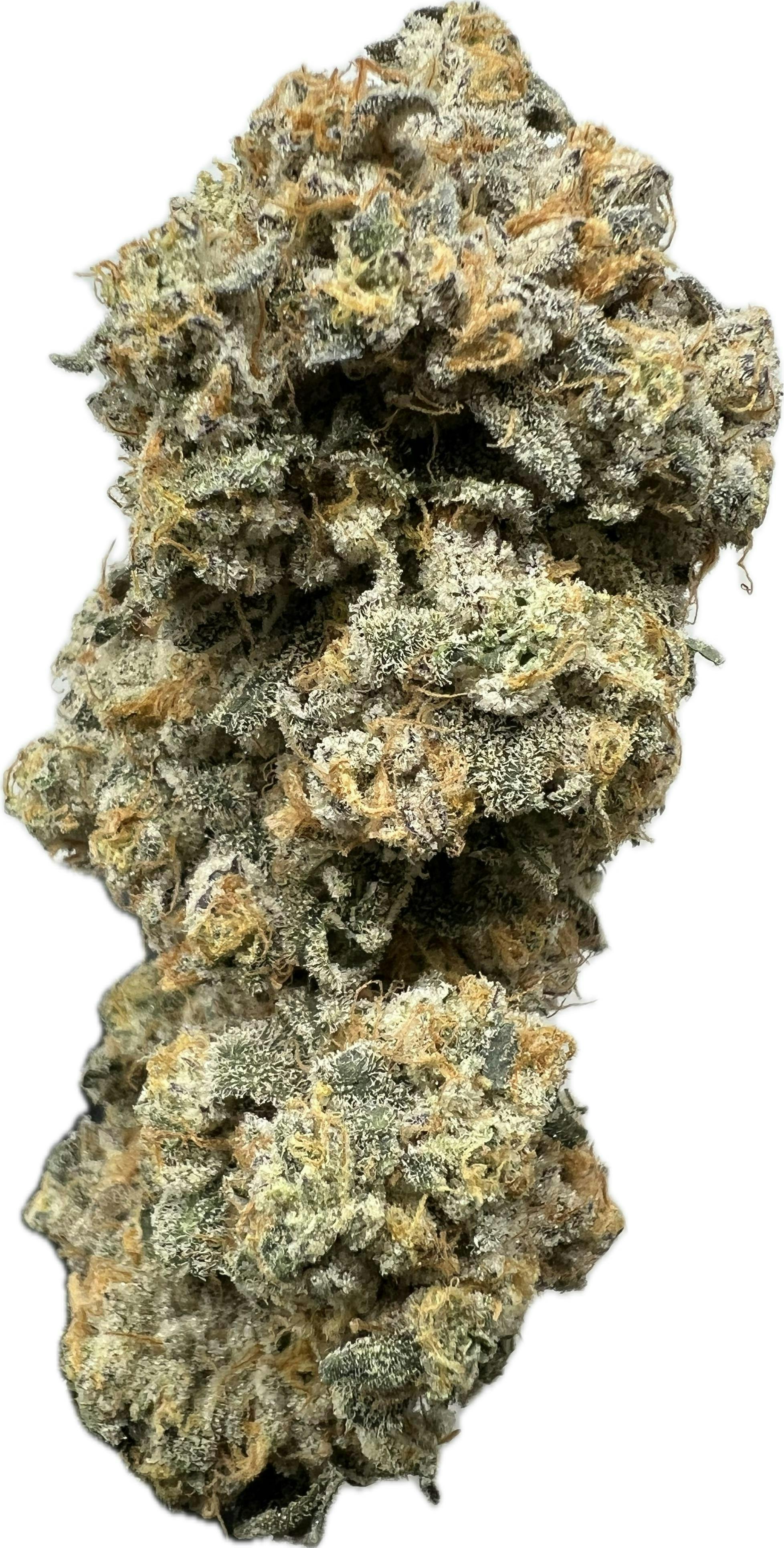 Glue Cheese | Frosted Farms