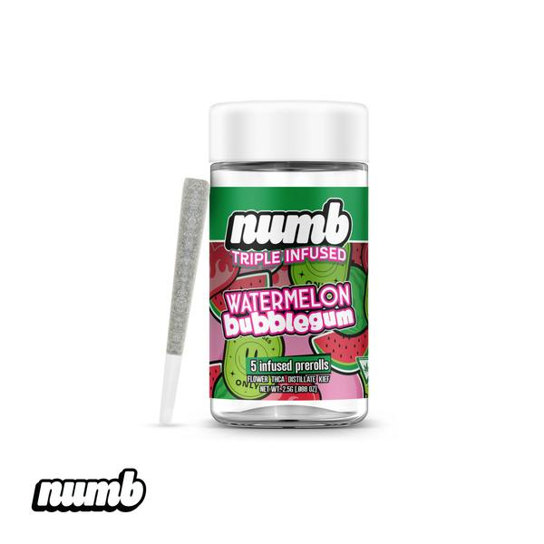 Watermelon Bubblegum | Infused Minis | 0.5g ea | 5pk