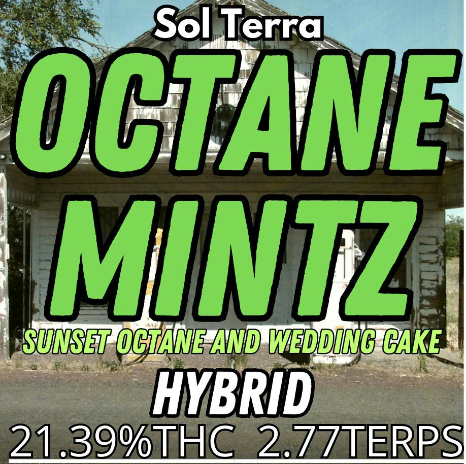 10G - CANNA ROYALE - OCTANE MINTS(I)