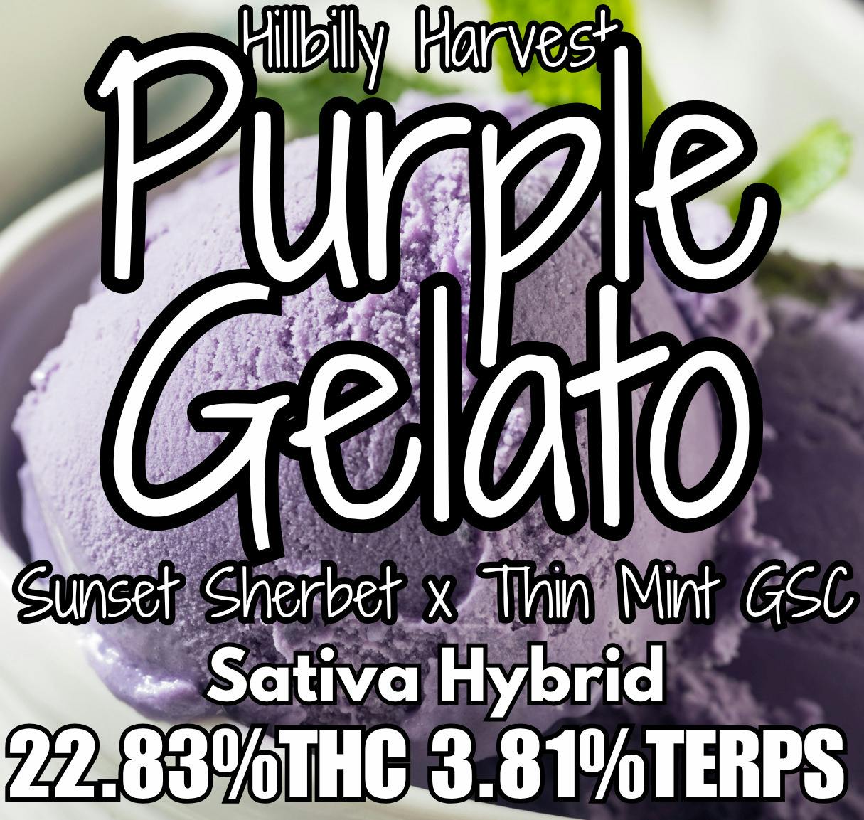 5G - HILLBILLY HARVEST - PURPLE GELATO(H)
