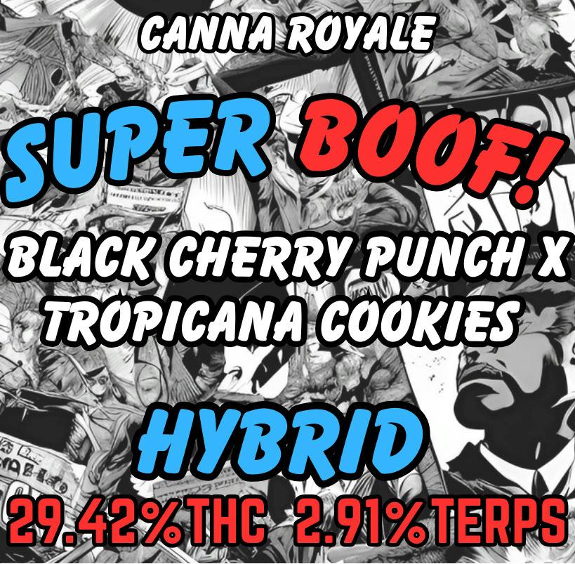 5G - CANNA ROYALE - SUPER BOOF (H)