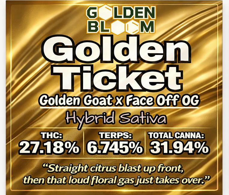 28G - GOLDEN BLOOM - Golden Ticket (HS) B BUDS
