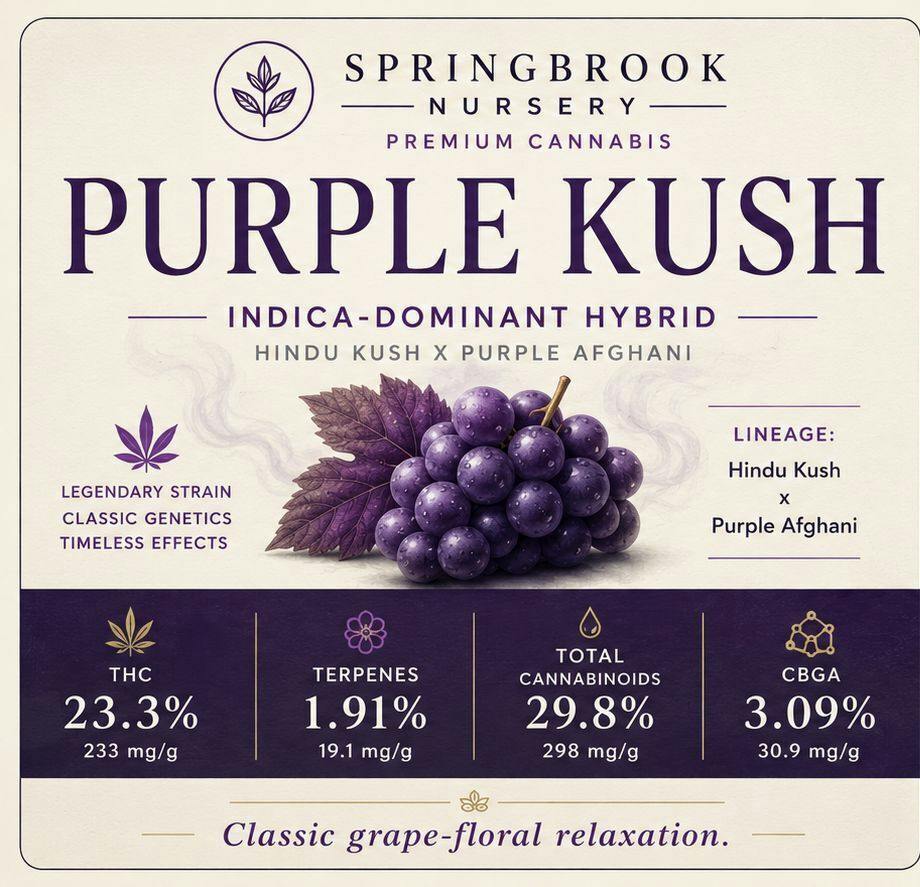 28G - SPRINGBROOK NURSERY - PURPLE KUSH SMALLS (I)