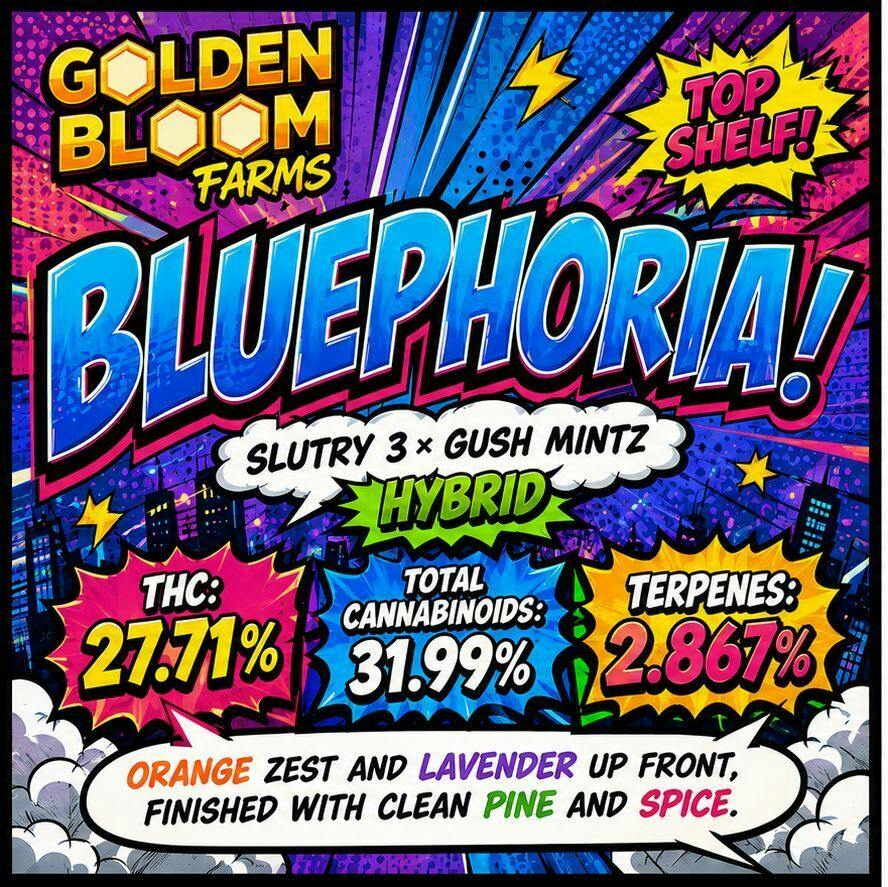 5G - GOLDEN BLOOM - BLUEPHORIA(H)