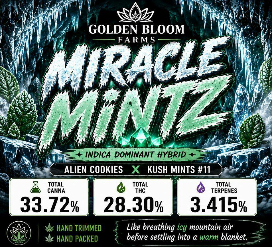 10G - GOLDEN BLOOM - MIRACLE MINTZ