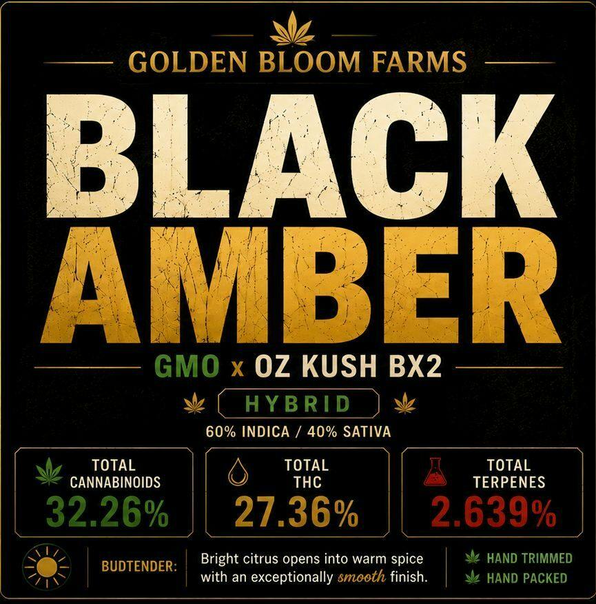 28g - GOLDEN BLOOM - BLACK AMBER (I)
