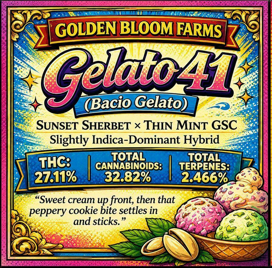 5G - GOLDEN BLOOM - GELATO 41