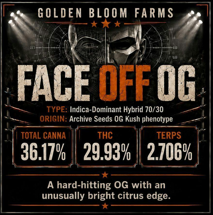5G - GOLDEN BLOOM - FACE OFF OG(I)
