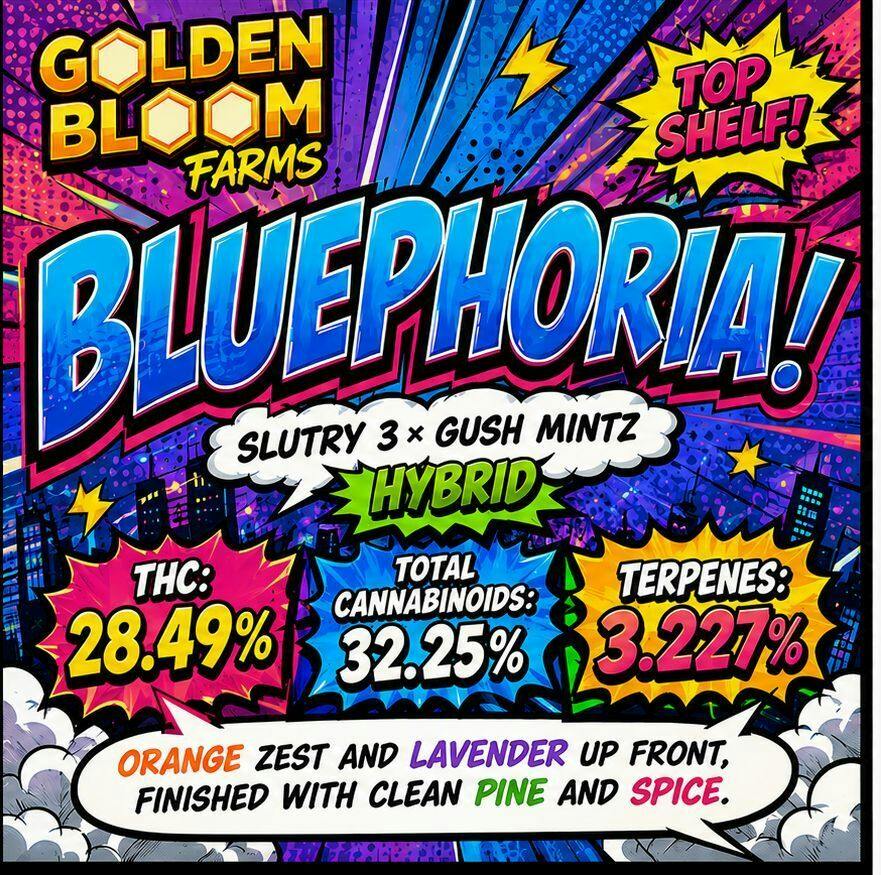 28g - GOLDEN BLOOM - BLUEPHORIA(H)