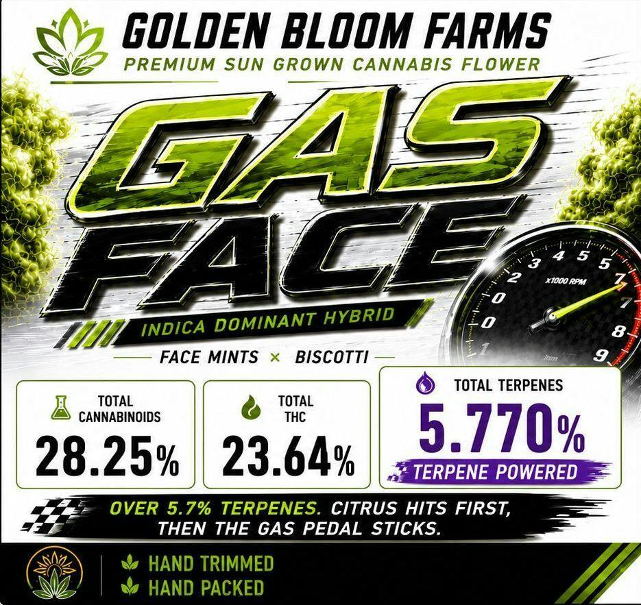 10G - GOLDEN BLOOM - GAS FACE(I)