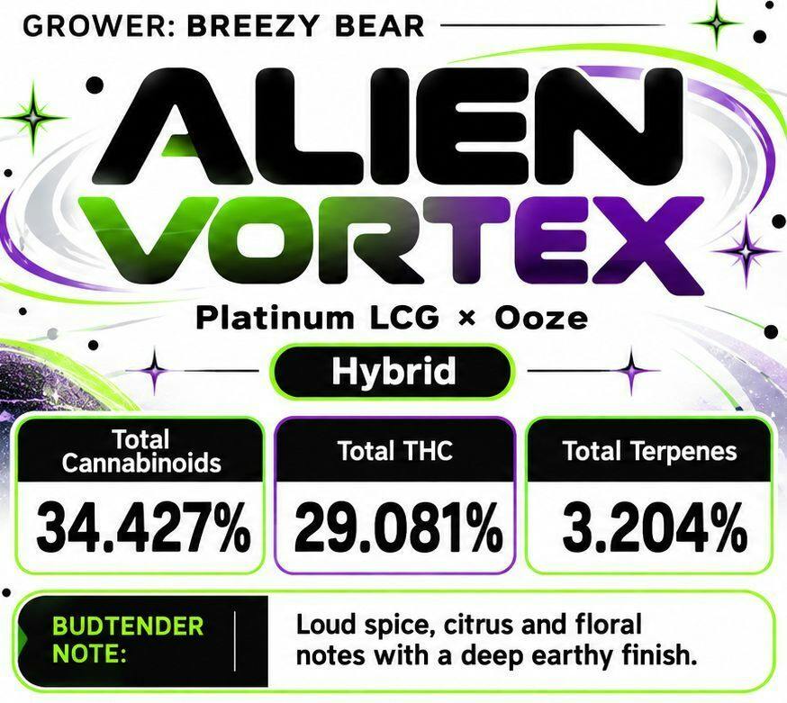 28g - Breezy Bear - Alien Vortex (H)