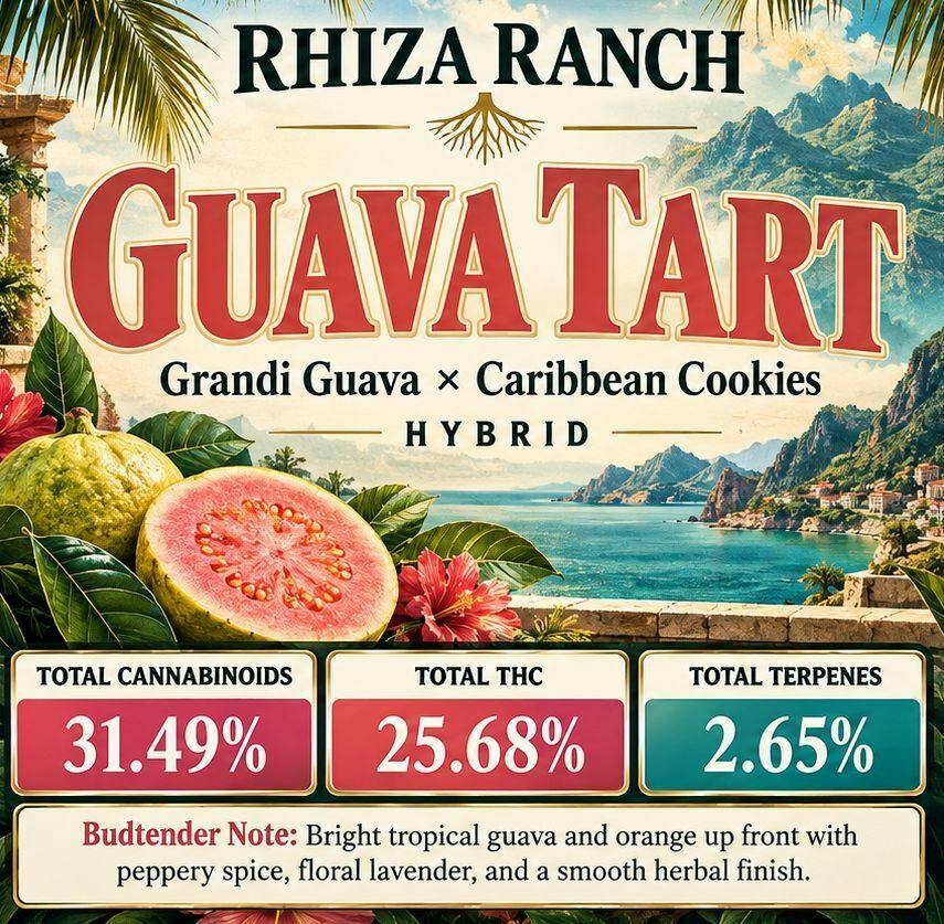 10G - RHIZA RANCH - GUAVA TARTS