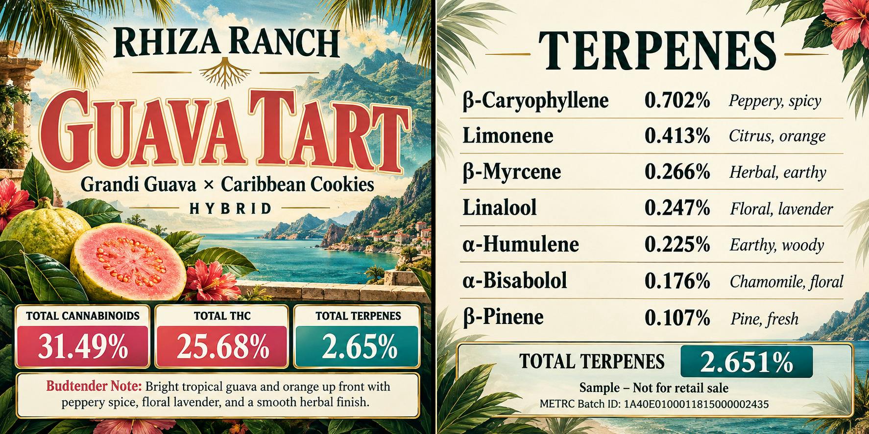 28G - RHIZA RANCH - GUAVA TARTS