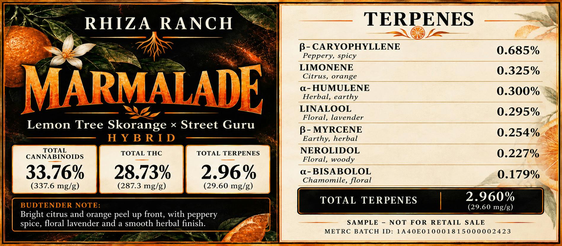 10G - RHIZA RANCH - MARMALADE