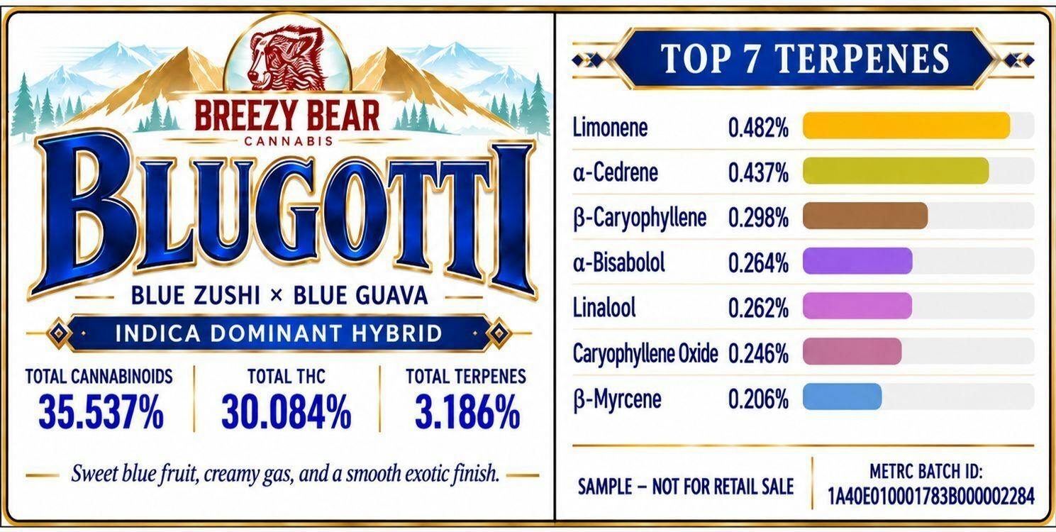 28g - breezy bear - blugotti