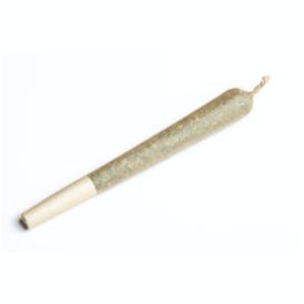 Brain Freeze - Pre-Roll - Mota Bloom - MED - 1.0g - Pre-Roll