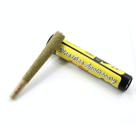 Apples & Bananas - Mini Jointzilla - MED - 1.0g - Pre-Roll